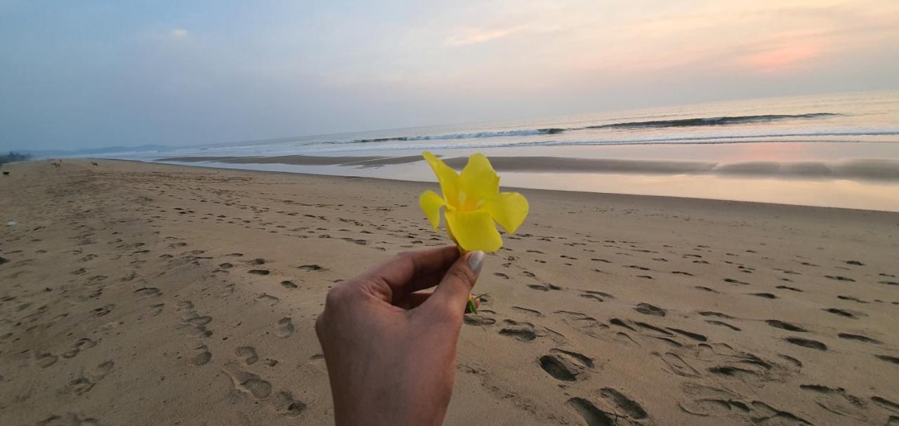 جوكارنا Blue Lagoon Beach Resort المظهر الخارجي الصورة